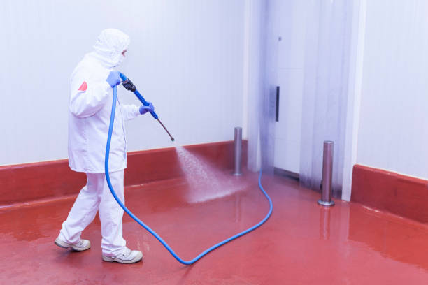 Best Playground Equipment Cleaning  in Warner, OK